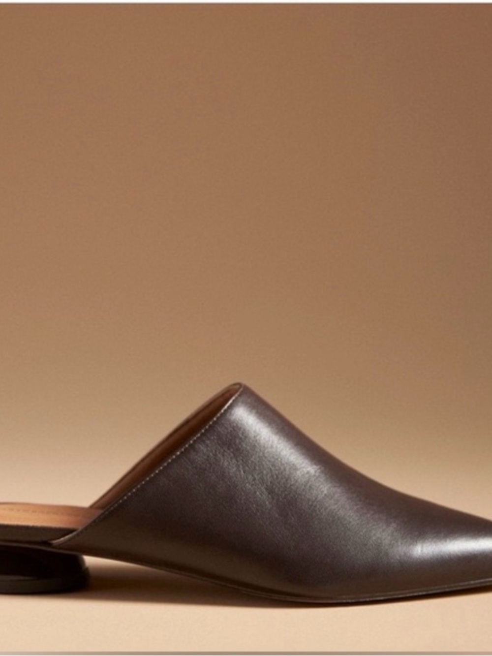 Anthropologie Dark Brown Leather Pointed-Toe Mule